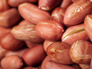 Close-up of peanuts