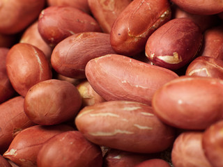 Close-up of peanuts