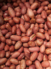 Close-up of peanuts