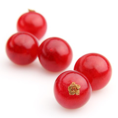 Ripe berries of red currant