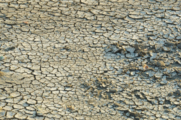 Steppe cracked clay earth in the summer