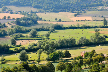 Obraz premium campagne Provençal