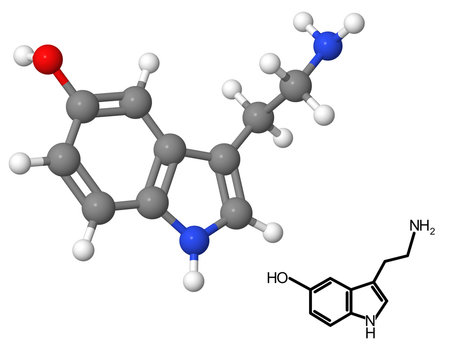 Serotonin Molecule With Chemical Formula