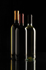 Fototapeta na wymiar group of wine bottles