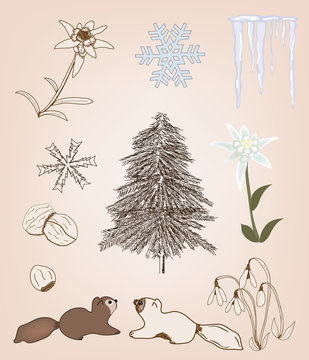 Collezione invernale