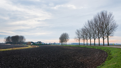 Fototapeta na wymiar Dutch agricultural landscape in winter