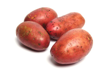 Potato isolated on white background close up