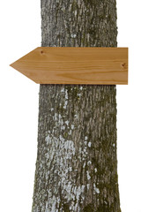 Wegweiser am Baumstamm