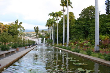 Jardin d'&eacute;tat - Ile de la R&eacute;union
