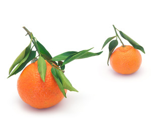 Clementines