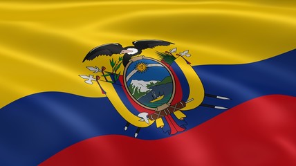 Ecuadorian flag in the wind