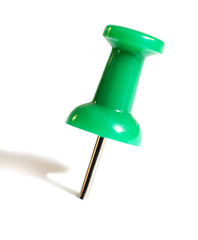 punaise de bureau verte