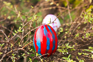 An easter eggs on branch of tree