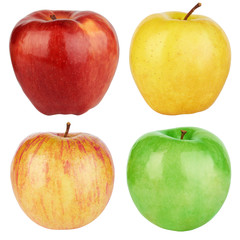 Set of color apples