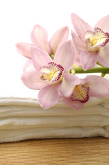 Obraz na płótnie Canvas Oddział różowa orchidea na ręcznik