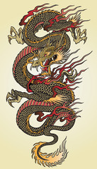 Detailed Asian Dragon Tattoo Illustration - 37671910
