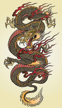 Detailed Asian Dragon Tattoo Illustration