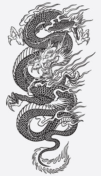 Dragon Tattoo Images – Browse 68,742 Stock Photos, Vectors, and Video |  Adobe Stock
