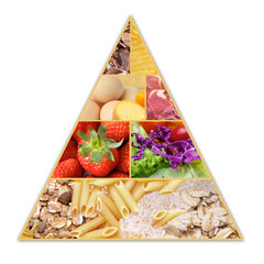 Food Pyramid