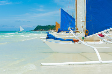 sailing boats