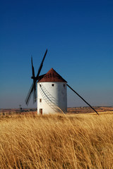 Spanish windmill