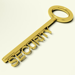 Security Gold Key Representing Safety And Encryption