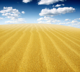 Sand Dunes Landscape