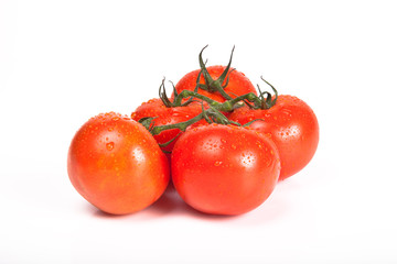 Tomatos