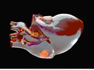 Model of human heart - heart of gold