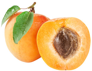 Ripe apricots with leaves on white background