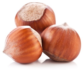 Nuts filberts isolated