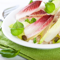 Chicory Salad