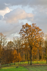 Donzenac (Corrèze)
