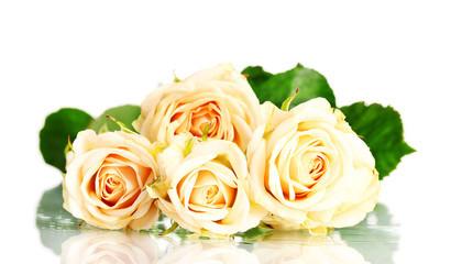 Bouquet of white roses isolated on white