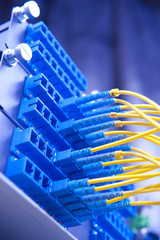optic fiber cables connected to an optic switch