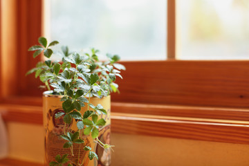 くつろぎタイム