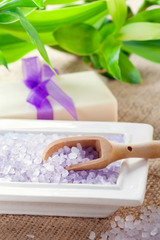 Obraz na płótnie Canvas Bath salt with soap and lucky bamboo
