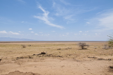 Fototapeta na wymiar Lake Manyara