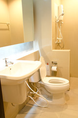 simple toilet in house.