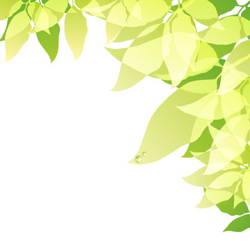 green background