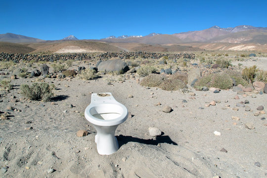 Toiletten-Abenteuer - toilet adventure