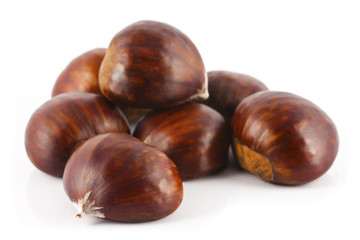 seven chestnut
