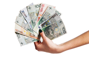 Euro and Polish Money banknote