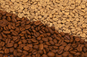 coffe beans