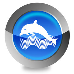Dolphins button