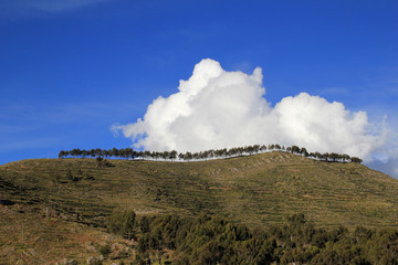 Titicaca's trees, hills and clouds