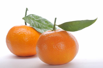 Mandarine