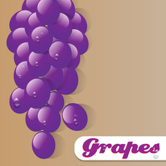 Beautiful Grapes illustration