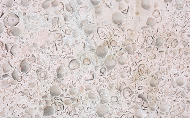 pattern of shells in concrete as building material