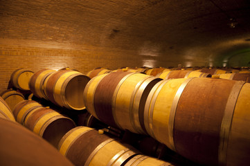 Argentina Wine Cellar